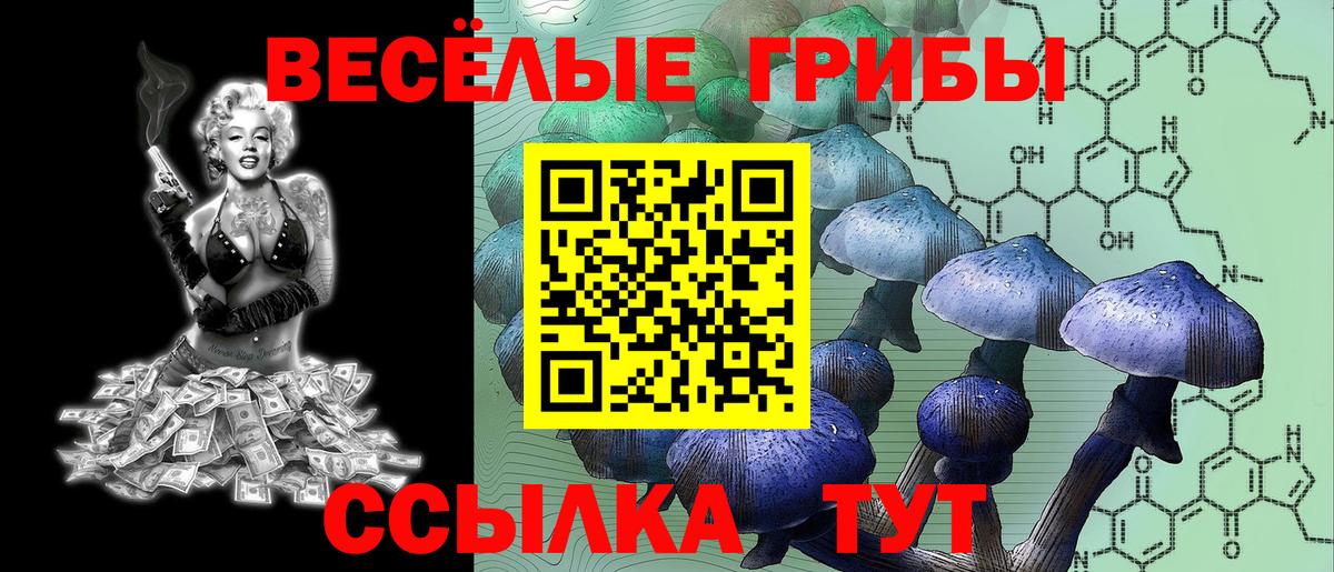 Галлюциногенные грибы GOLDEN TEACHER  Вход с VPN  Печора 